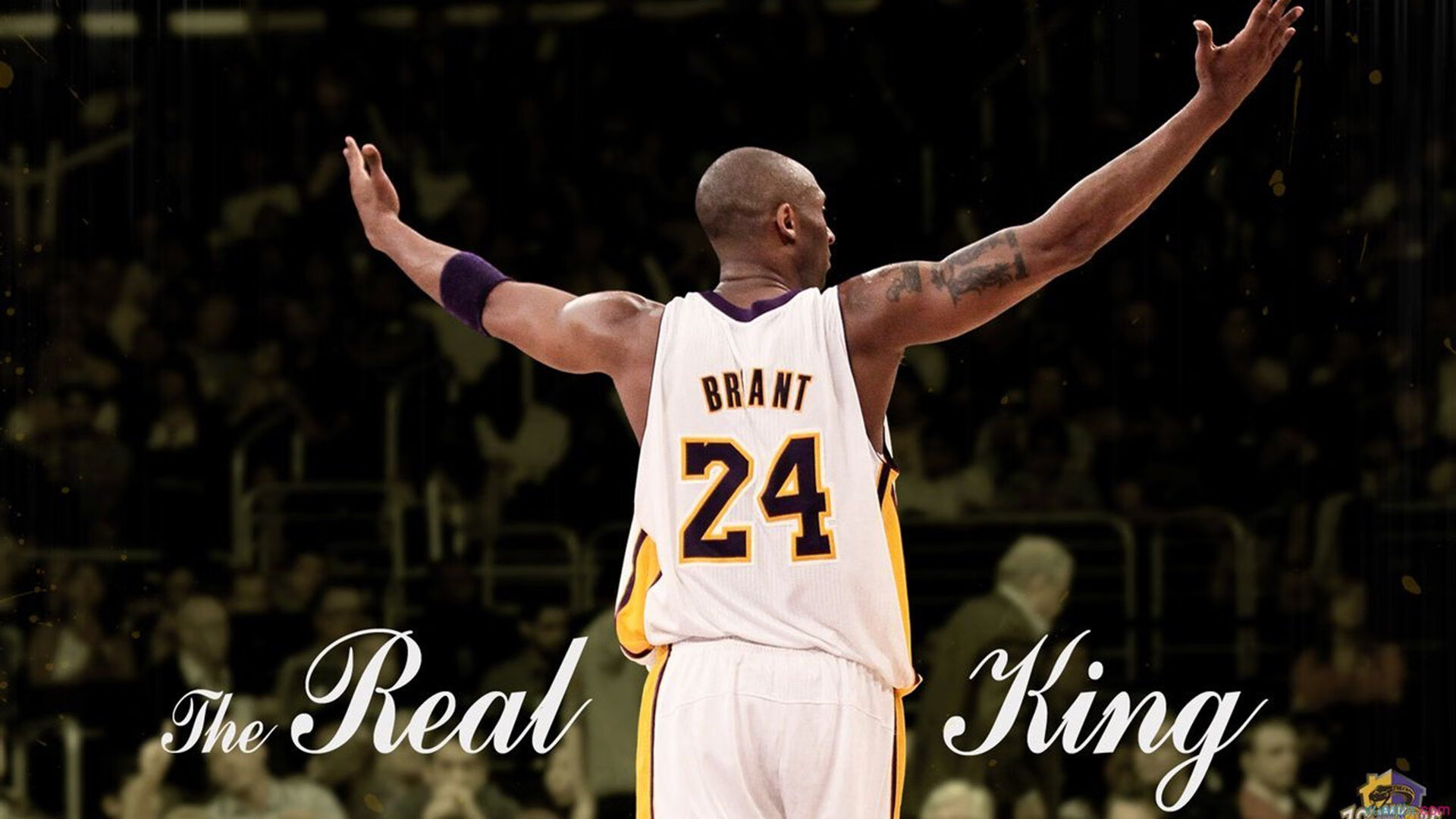 _探秘极地冰川冰泳：挑战人类极限_，极地冰川是淡水吗